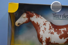 Load image into Gallery viewer, Truly Unsurpassed-New in Box-Lady Phase Mold-Breyer Traditional