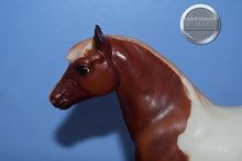 Load image into Gallery viewer, Best of British Pony-Shetland Pony Mold-Breyer Traditional