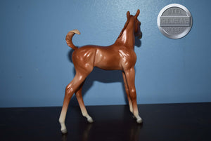 The Mob-2024 AoTH Exclusive-LE 5-Matte-Customized Arabian Foal-Peter Stone