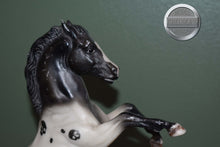 Load image into Gallery viewer, Crane-Halloween Exclusive-BODY CONDITION-Breyer Classic