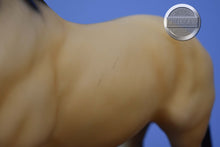 Load image into Gallery viewer, Fugir Cacador-Foundation Stallion Mold-Breyer Traditional