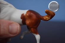 Load image into Gallery viewer, Chestnut Pinto-Mystery Horse Surprise Series 2-Appaloosa Mold-Breyer Stablemate