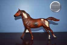 Load image into Gallery viewer, Liver Chestnut Paint-Phar Lap Mold-Breyer Traditional