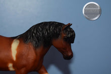 Load image into Gallery viewer, Pony from Three Pintos Collectors Set-JCP Exclusive-Merrylegs Mold-Breyer Classic