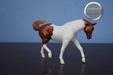 Load image into Gallery viewer, Chestnut Pinto-Mystery Horse Surprise Series 2-Appaloosa Mold-Breyer Stablemate