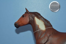 Load image into Gallery viewer, Liver Chestnut Paint-Phar Lap Mold-Breyer Traditional