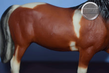 Load image into Gallery viewer, Pony from Three Pintos Collectors Set-JCP Exclusive-Merrylegs Mold-Breyer Classic