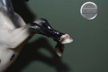 Load image into Gallery viewer, Crane-Halloween Exclusive-BODY CONDITION-Breyer Classic