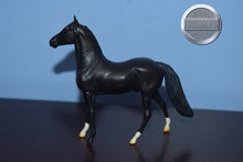 Load image into Gallery viewer, Black/Mahogany With Socks-Matte-Morgan Chip-Peter Stone Chip