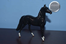 Load image into Gallery viewer, Black With Socks-Glossy-Morgan Chip-Peter Stone Chip