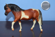 Load image into Gallery viewer, Pony from Three Pintos Collectors Set-JCP Exclusive-Merrylegs Mold-Breyer Classic
