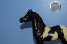 Load image into Gallery viewer, Black and White Paint Foal-Standing Stock Horse Foal Mold-Breyer Traditional