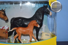 Load image into Gallery viewer, Spanish Mustang Family-New in Box-Breyer Classic