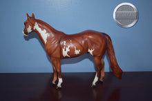 Load image into Gallery viewer, Ratchett #2-Ideal Stock Horse-Peter Stone