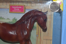 Load image into Gallery viewer, Chestnut Appaloosa-Johar Mold-New in Box-Breyer Classic