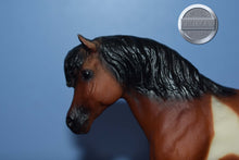 Load image into Gallery viewer, Pony from Three Pintos Collectors Set-JCP Exclusive-Merrylegs Mold-Breyer Classic