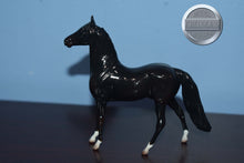 Load image into Gallery viewer, Black With Socks-Glossy-Morgan Chip-Peter Stone Chip