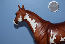 Load image into Gallery viewer, Ratchett #2-Ideal Stock Horse-Peter Stone