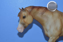 Load image into Gallery viewer, Sundance-Indian Pony Mold-Breyer Traditional