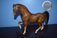 Load image into Gallery viewer, Sheik-Family Arabian Stallion Mold-Breyer Traditional