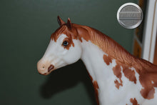 Load image into Gallery viewer, Drifter-Vintage Club Exclusive-NO COA-Pinto Version-Stock Horse Stallion Mold-Breyer Traditional