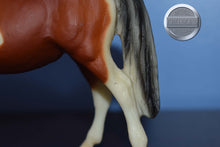 Load image into Gallery viewer, Pony from Three Pintos Collectors Set-JCP Exclusive-Merrylegs Mold-Breyer Classic