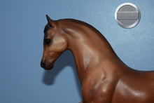 Load image into Gallery viewer, Bay Family Arabian Stallion-FAS Mold-Breyer Traditional