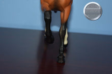 Load image into Gallery viewer, Bay Family Arabian Stallion-FAS Mold-Breyer Traditional