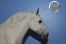 Load image into Gallery viewer, Light Grey from Legacy Gift Set II-Roy the Belgian Mold-Breyer Traditional