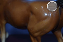 Load image into Gallery viewer, Sheik-Family Arabian Stallion Mold-Breyer Traditional