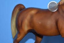 Load image into Gallery viewer, Chestnut Family Arabian Stallion-Family Arabian Stallion Mold-Breyer Traditional