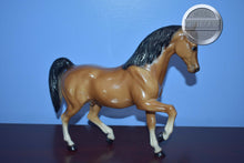 Load image into Gallery viewer, Sheik-Family Arabian Stallion Mold-Breyer Traditional