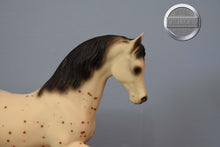 Load image into Gallery viewer, Appaloosa Family Arabian Stallion-FAS Mold-Breyer Traditional