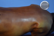 Load image into Gallery viewer, Unknown Brand-HUGE Bay Horse