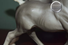 Load image into Gallery viewer, Sugar and Spice-Smoke Grey-Running Mare and Running Foal Mold-Breyer Traditional