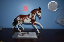 Load image into Gallery viewer, Bandalero-Glossy-Premier Club Exclusive-Criollo Mold-Breyer Traditional