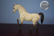 Load image into Gallery viewer, Appaloosa Family Arabian Stallion-FAS Mold-Breyer Traditional