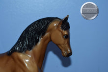 Load image into Gallery viewer, Sheik-Family Arabian Stallion Mold-Breyer Traditional