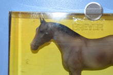 Load image into Gallery viewer, Rose Grey QH Yearling-Quarter Horse Yearling Mold-New in Box-Breyer Traditional
