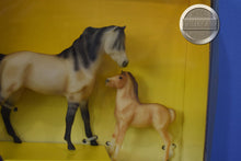 Load image into Gallery viewer, The Dawning Gift Set-Mustangs Set-Mesteno Mold-New in Box-Breyer Classic