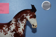 Load image into Gallery viewer, Bandalero-Glossy-Premier Club Exclusive-Criollo Mold-Breyer Traditional