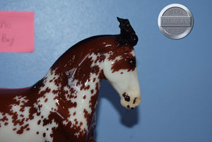 Bandalero-Glossy-Premier Club Exclusive-Criollo Mold-Breyer Traditional