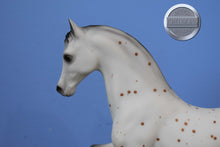 Load image into Gallery viewer, Appaloosa Family Arabian Stallion-FAS Mold-Breyer Traditional