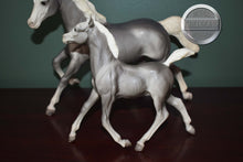 Load image into Gallery viewer, Sugar and Spice-Smoke Grey-Running Mare and Running Foal Mold-Breyer Traditional