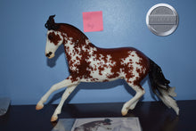 Load image into Gallery viewer, Bandalero-Glossy-Premier Club Exclusive-Criollo Mold-Breyer Traditional