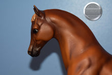Load image into Gallery viewer, Chestnut Family Arabian Stallion-Family Arabian Stallion Mold-Breyer Traditional