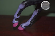 Load image into Gallery viewer, Calavera-Halloween Exclusive-Ethereal Mold-Breyer Traditional