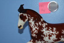 Load image into Gallery viewer, Bandalero-Glossy-Premier Club Exclusive-Criollo Mold-Breyer Traditional