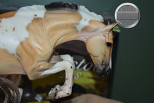 Load image into Gallery viewer, Bristol-Premier Club Exclusive-Original on the Mold-Breyer Traditional