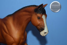Load image into Gallery viewer, Biko-Olympic Team-Gem Twist Mold-Breyer Traditional
